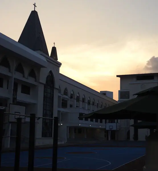 ABOUT THE CHIJ ALUMNI